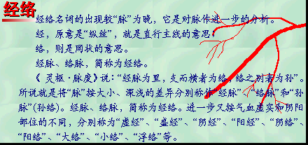 法国鹰演DDFAO 法国鹰演DDFAO