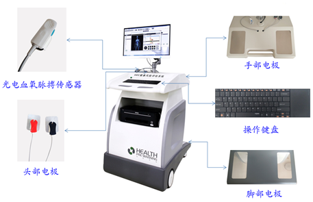ERA细胞断层扫描
