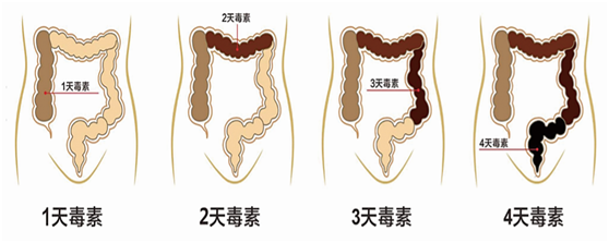HRA健康风险评估 HRA健康风险评估