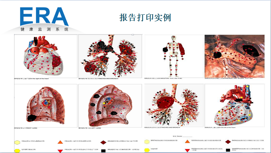 人体功能扫描仪